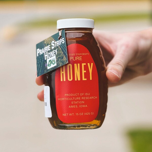 Iowa State University Prairie Strips Honey (15 oz.)